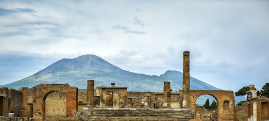 Pompeii and Vesuvius small group tour with tickets included